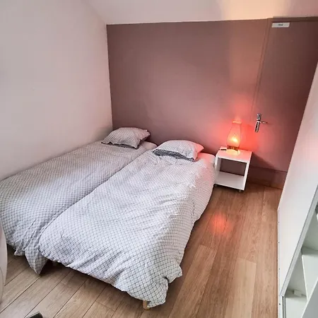 Duplex A 2 Pas De L'aeroport, Proche Onu & Palexpo Apartment