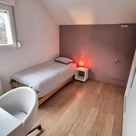 Apartment Duplex A 2 Pas De L'aeroport, Proche Onu & Palexpo Ferney-Voltaire