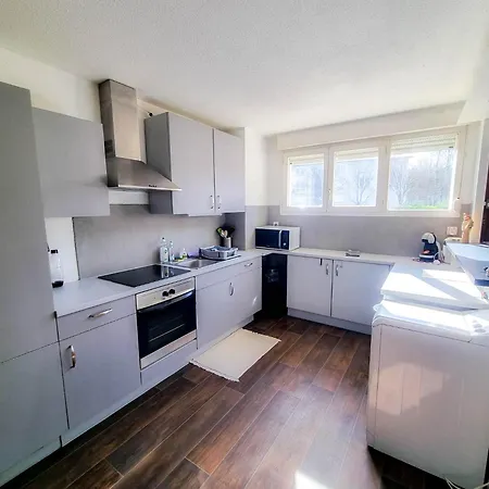 Apartment Duplex A 2 Pas De L'aeroport, Proche Onu & Palexpo Ferney-Voltaire