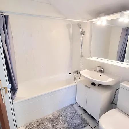 Duplex A 2 Pas De L'aeroport, Proche Onu & Palexpo Ferney-Voltaire