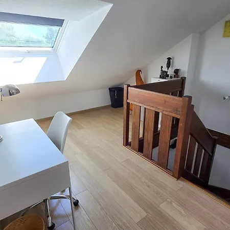Duplex A 2 Pas De L'aeroport, Proche Onu & Palexpo 公寓