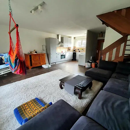 Daire Duplex A 2 Pas De L'aeroport, Proche Onu & Palexpo Ferney Voltaire