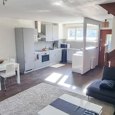 Duplex à 2 Pas De L'aéroport, Proche Onu&palexpo